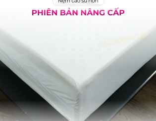 Lõi nệm cao su non là gì? Nệm cao su non Thắng Lợi có gì nổi bật?