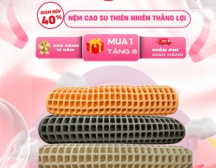 Nệm cao su thiên nhiên Thắng Lợi – Giá trị giấc ngủ vàng
