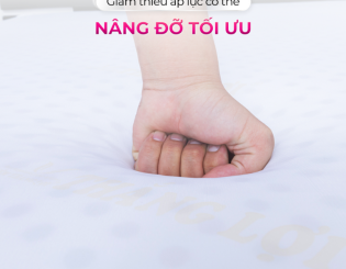 Nệm Thắng Lợi - Giải pháp cải thiện cột sống lưng