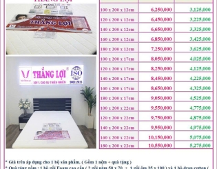 NỆM THẮNG LỢI GIẢM GIÁ 50% VỚI DÒNG NỆM CAO SU FOAM CAO CẤP THẮNG LỢI