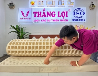 Giải Quyết Vấn Đề Về Xương Khớp, Hãy Chọn Nệm Cao Su Thiên Nhiên Thắng Lợi SiSi Advanced