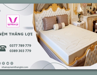 Top các dòng nệm phù hợp với chủ hộ kinh doanh phòng trọ, khách sạn, homestay
