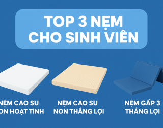 Các dòng nệm phù hợp với giá tiền sinh viên – Giấc ngủ ngon cùng Nệm Thắng Lợi