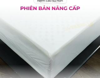 Lõi nệm cao su non là gì? Nệm cao su non Thắng Lợi có gì nổi bật?