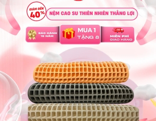 Nệm cao su thiên nhiên Thắng Lợi – Giá trị giấc ngủ vàng