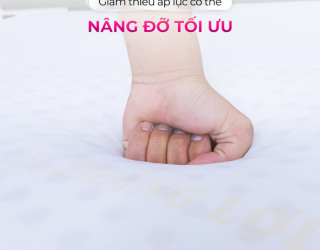 Nệm Thắng Lợi - Giải pháp cải thiện cột sống lưng