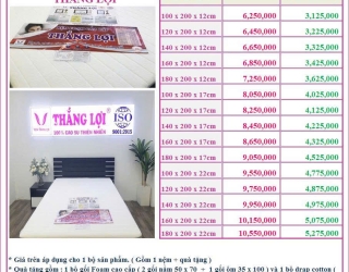 NỆM THẮNG LỢI GIẢM GIÁ 50% VỚI DÒNG NỆM CAO SU FOAM CAO CẤP THẮNG LỢI