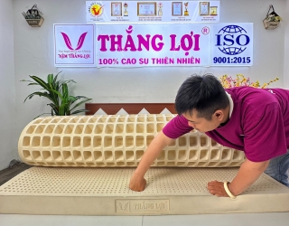 Giải Quyết Vấn Đề Về Xương Khớp, Hãy Chọn Nệm Cao Su Thiên Nhiên Thắng Lợi SiSi Advanced