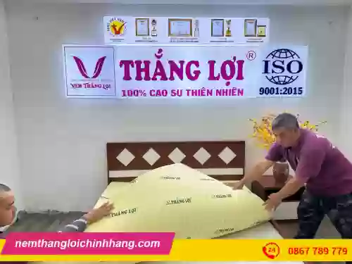 NỆM CAO SU NON