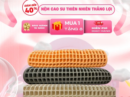NỆM CAO SU THIÊN NHIÊN