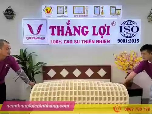 NỆM CAO SU THIÊN NHIÊN