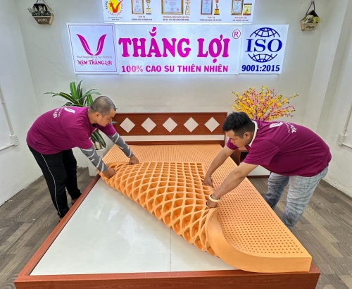 Nệm cao su thiên nhiên Thắng Lợi SuSu Original