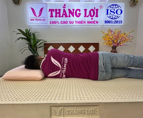 Nệm cao su thiên nhiên Thắng Lợi SiSi Advanced