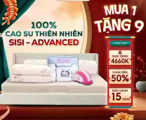 Nệm cao su thiên nhiên Thắng Lợi SiSi Advanced