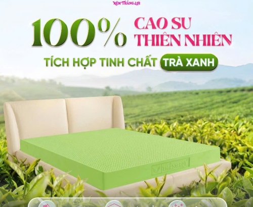 Nệm Cao su thiên nhiên Tea Plus Matcha Cool Thắng Lợi
