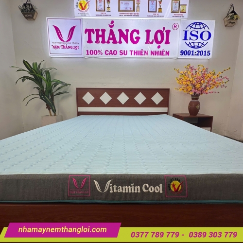 Nệm điều hòa Thắng Lợi Vitamin Cool 4 màu