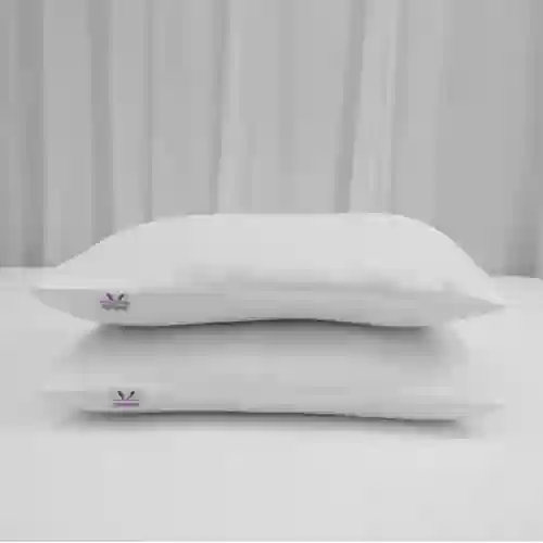 02 gối nằm bông ép