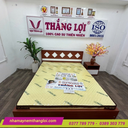 Nệm cao su non massage Thắng Lợi