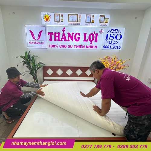 Nệm Foam cao cấp Thắng Lợi