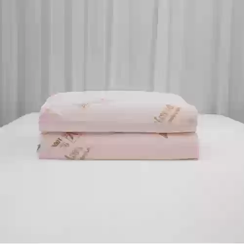 02 gối nằm cao su thiên nhiên