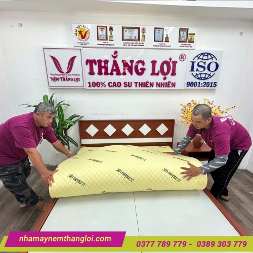 Nệm cao su non massage Thắng Lợi