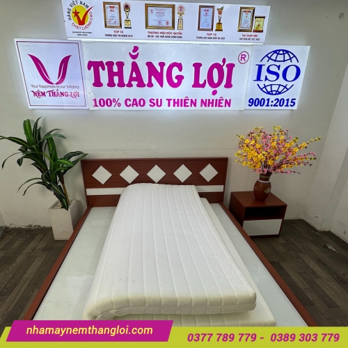 Nệm Foam cao cấp Thắng Lợi