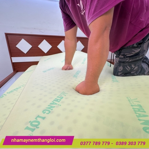 Nệm cao su non Thắng Lợi Cao Cấp