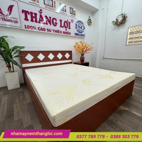 Nệm cao su Gold Latex Thắng Lợi