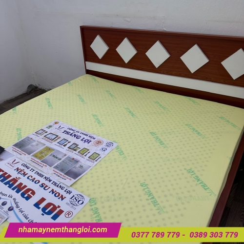 Nệm cao su non Thắng Lợi Cao Cấp