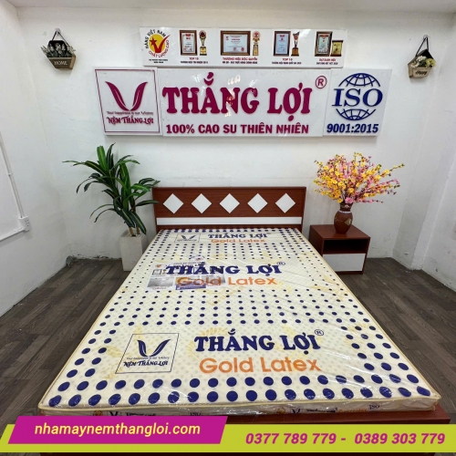 Nệm cao su Gold Latex Thắng Lợi
