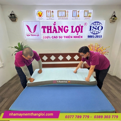 Nệm điều hòa Thắng Lợi Vitamin Cool 4 màu