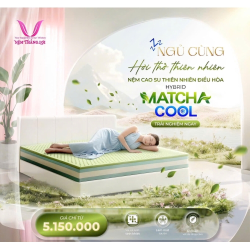 Nệm Cao Su Thiên Nhiên Điều Hòa Hybrid Matcha Cool Thắng Lợi