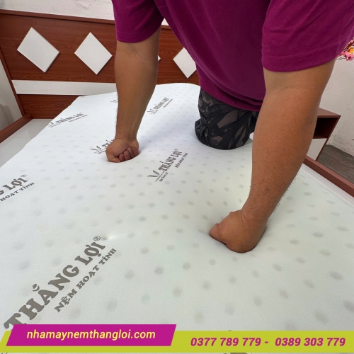 Nệm cao su non hoạt tính Thắng Lợi