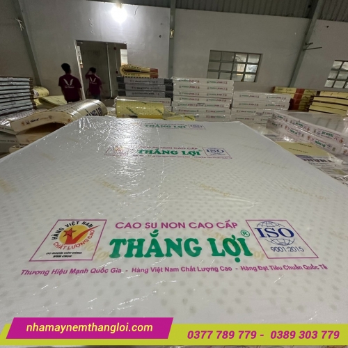 Nệm cao su non Thắng Lợi Cao Cấp