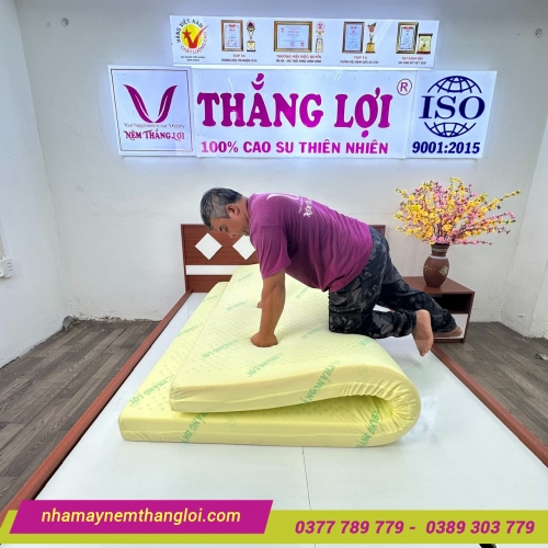 Nệm cao su non Thắng Lợi Cao Cấp