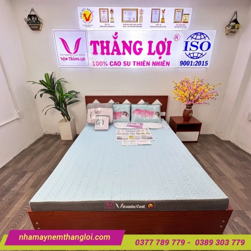 Nệm điều hòa Thắng Lợi Vitamin Cool 4 màu