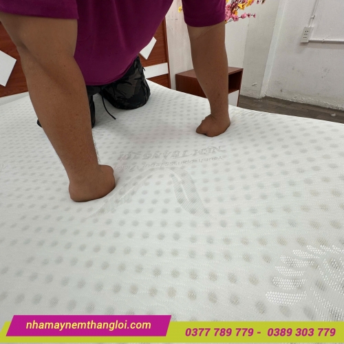 Nệm cao su Wonderfoam Thắng Lợi