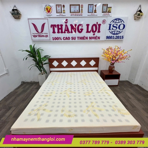 Nệm cao su Gold Latex Thắng Lợi