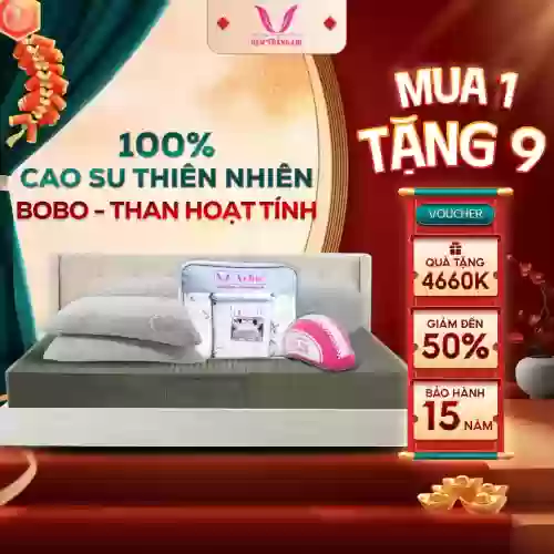 Nệm cao su thiên nhiên BoBo than hoạt tính Thắng Lợi