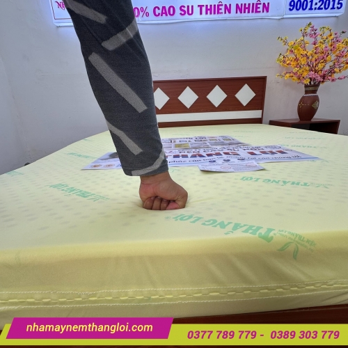 Nệm cao su non Thắng Lợi Cao Cấp