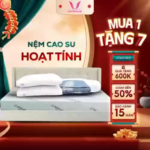Nệm cao su non hoạt tính Thắng Lợi