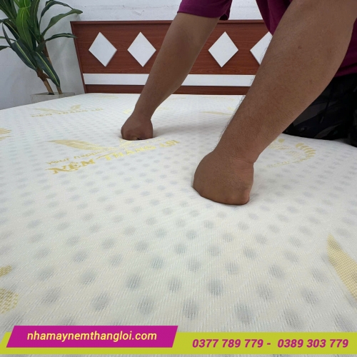 Nệm cao su Gold Latex Thắng Lợi