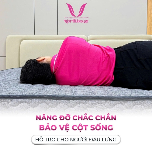 Nệm Meli Foam Thắng Lợi ( New ra mắt 2026 )