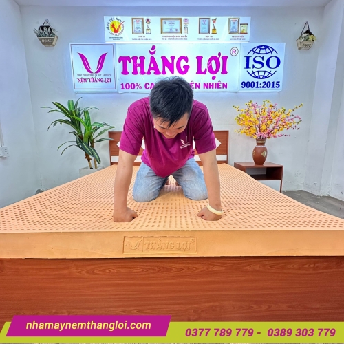 Nệm cao su thiên nhiên Thắng Lợi SuSu Original