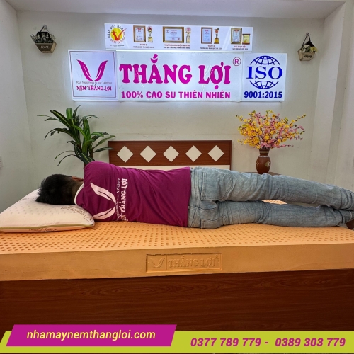 Nệm cao su thiên nhiên Thắng Lợi SuSu Original