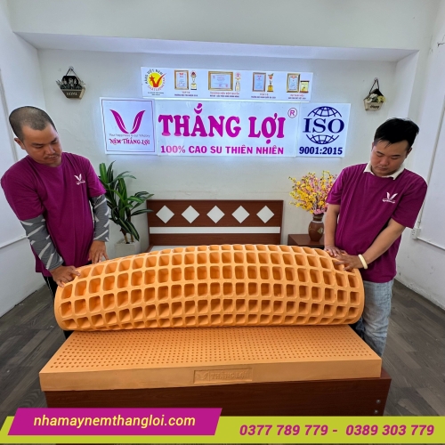 Nệm cao su thiên nhiên Thắng Lợi SuSu Original