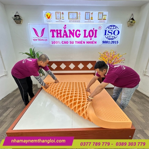Nệm cao su thiên nhiên Thắng Lợi SuSu Original