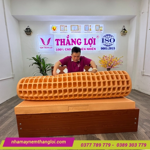 Nệm cao su thiên nhiên Thắng Lợi SuSu Original
