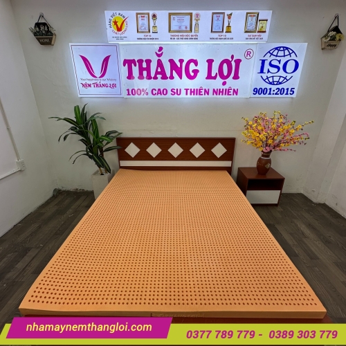 Nệm cao su thiên nhiên Thắng Lợi SuSu Original