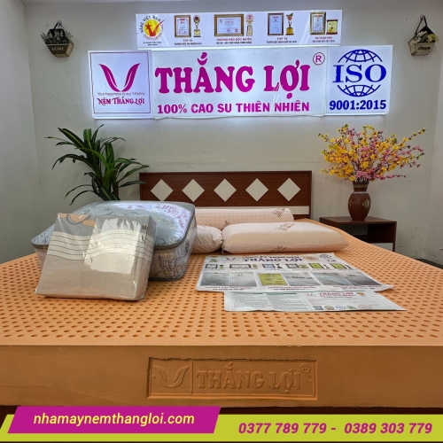 Nệm cao su thiên nhiên Thắng Lợi SuSu Original